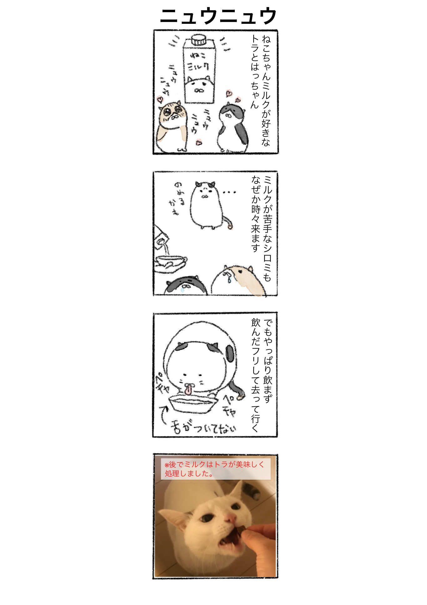 【ゆる猫4コマ#004】ニュウニュウ