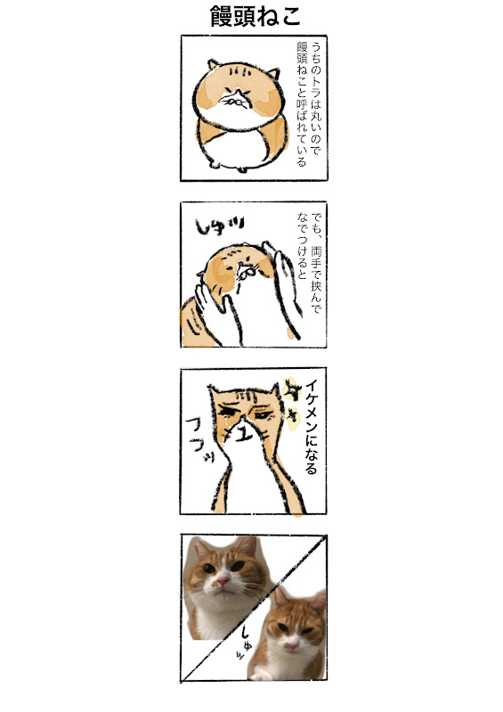 【ゆる猫4コマ＃001】トラ