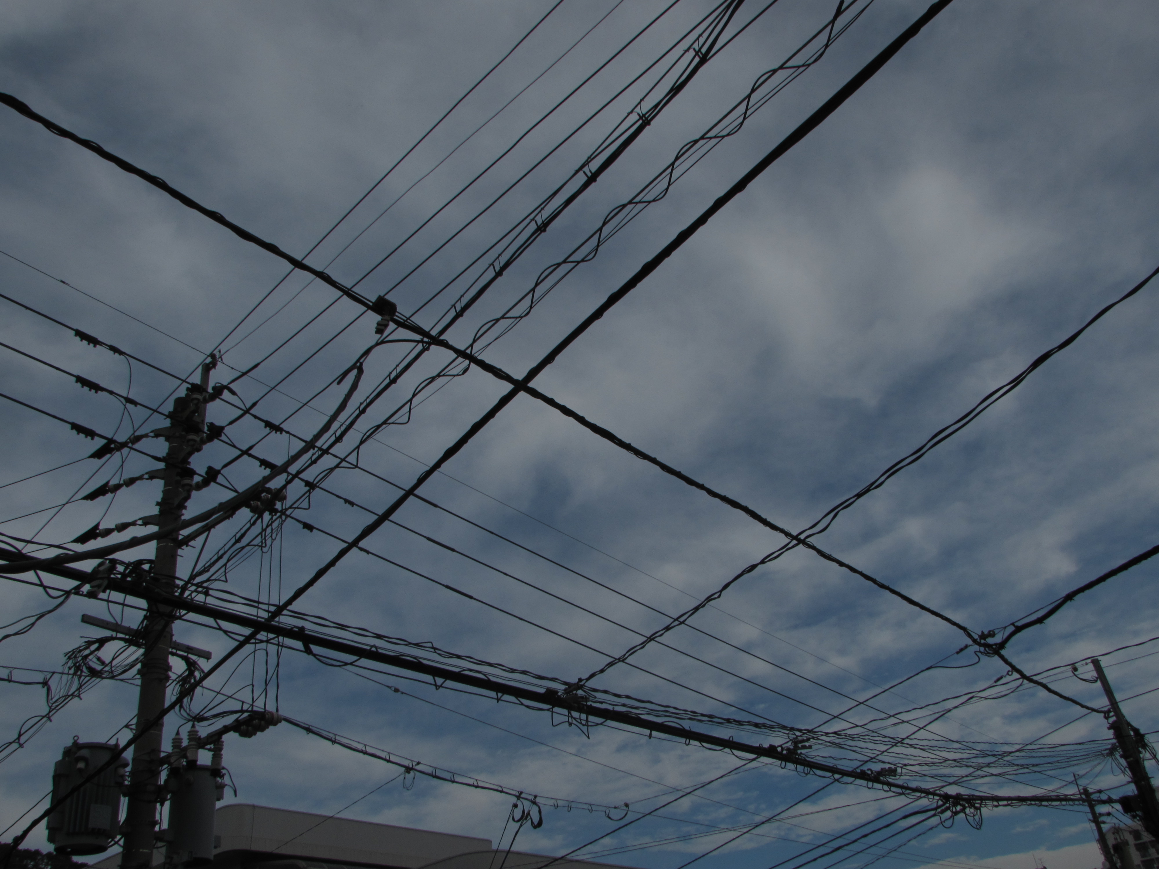 今日、自宅のまわり歩いた。