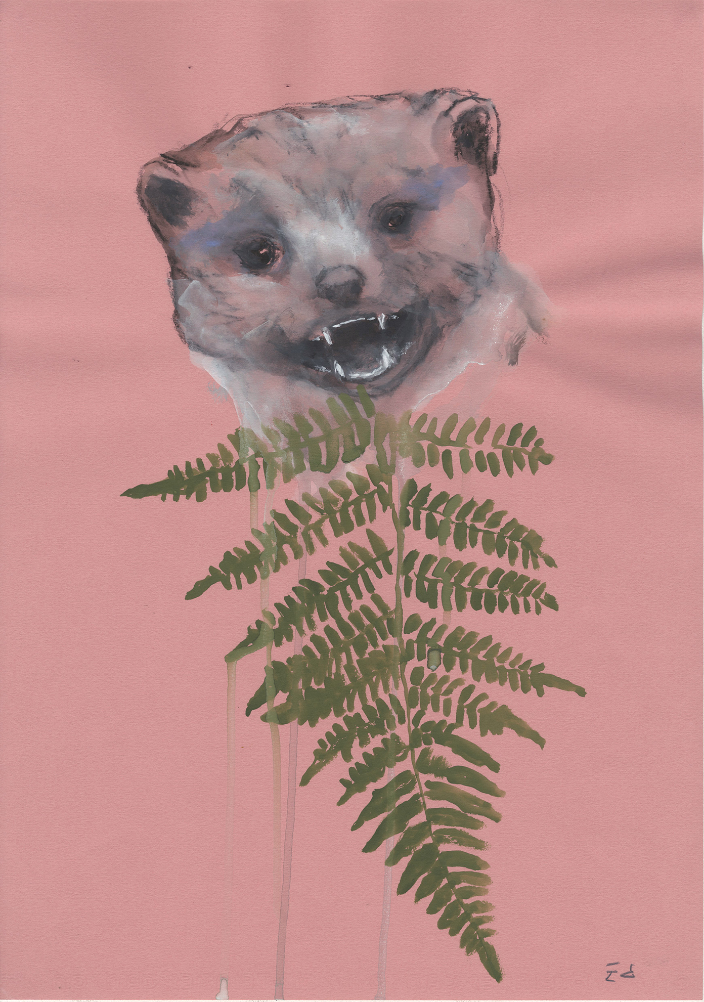 Edi Dubien エディ・ドゥビアン（イタチとシダ）