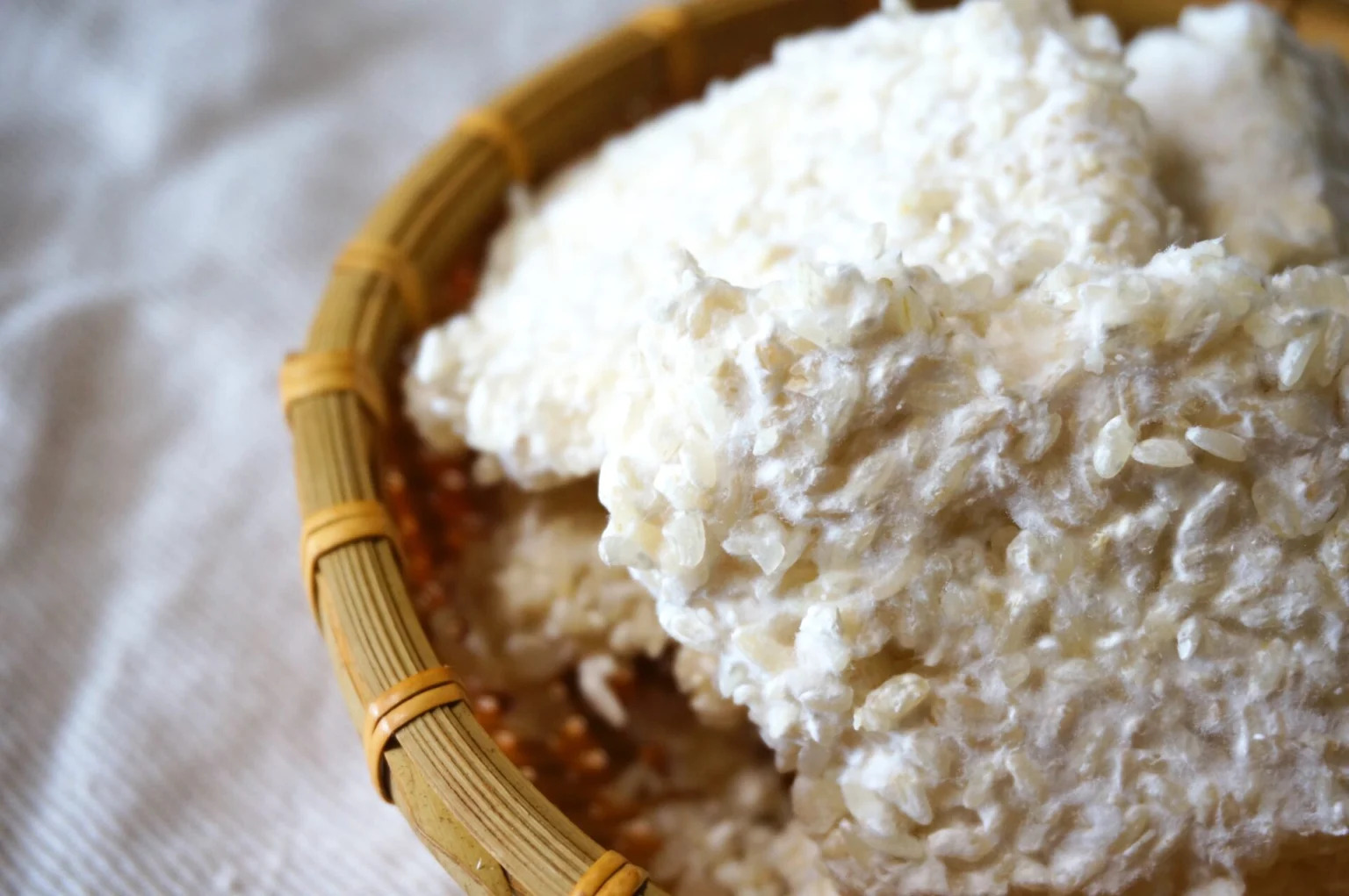 カビが生えたご飯から始まった!?日本の食卓を支える「麹(こうじ)」の歴史を紐解く
