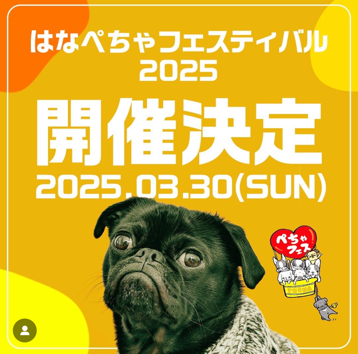 2025'はなぺちゃフェスティバル出店決定❣️