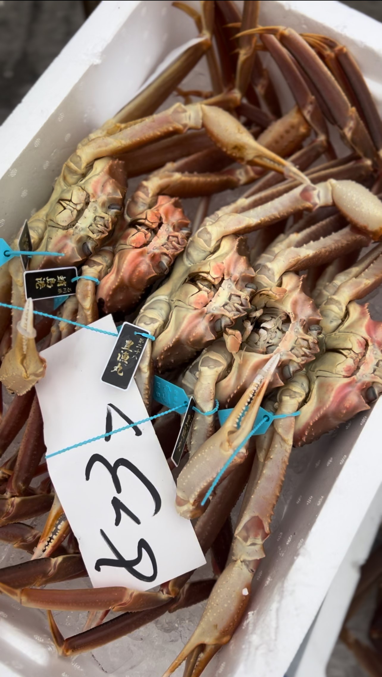 いよいよ加能がに解禁!! 中島ストアーにも沢山の加能がに入荷