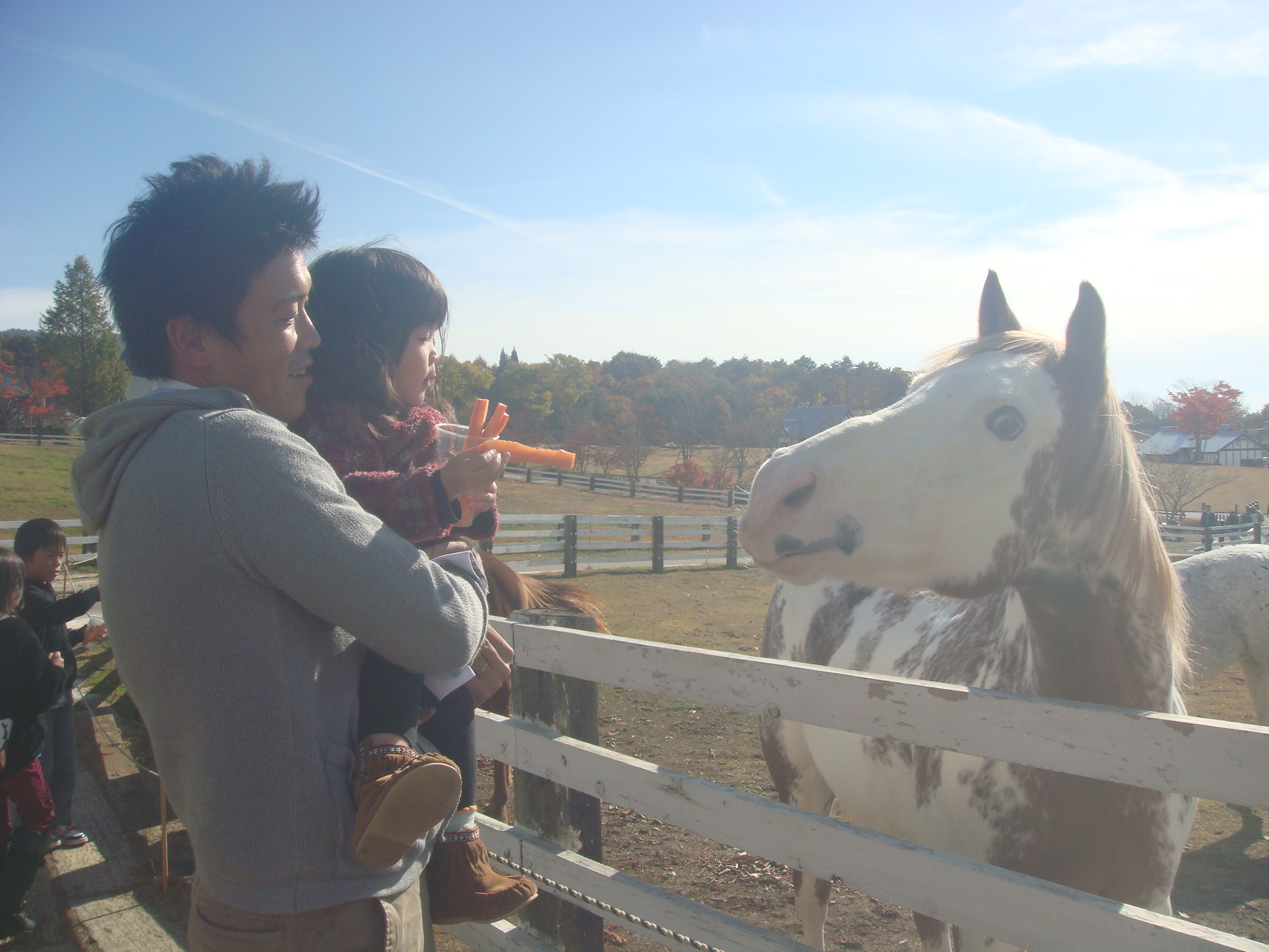 コラム書けそうで書いていないな