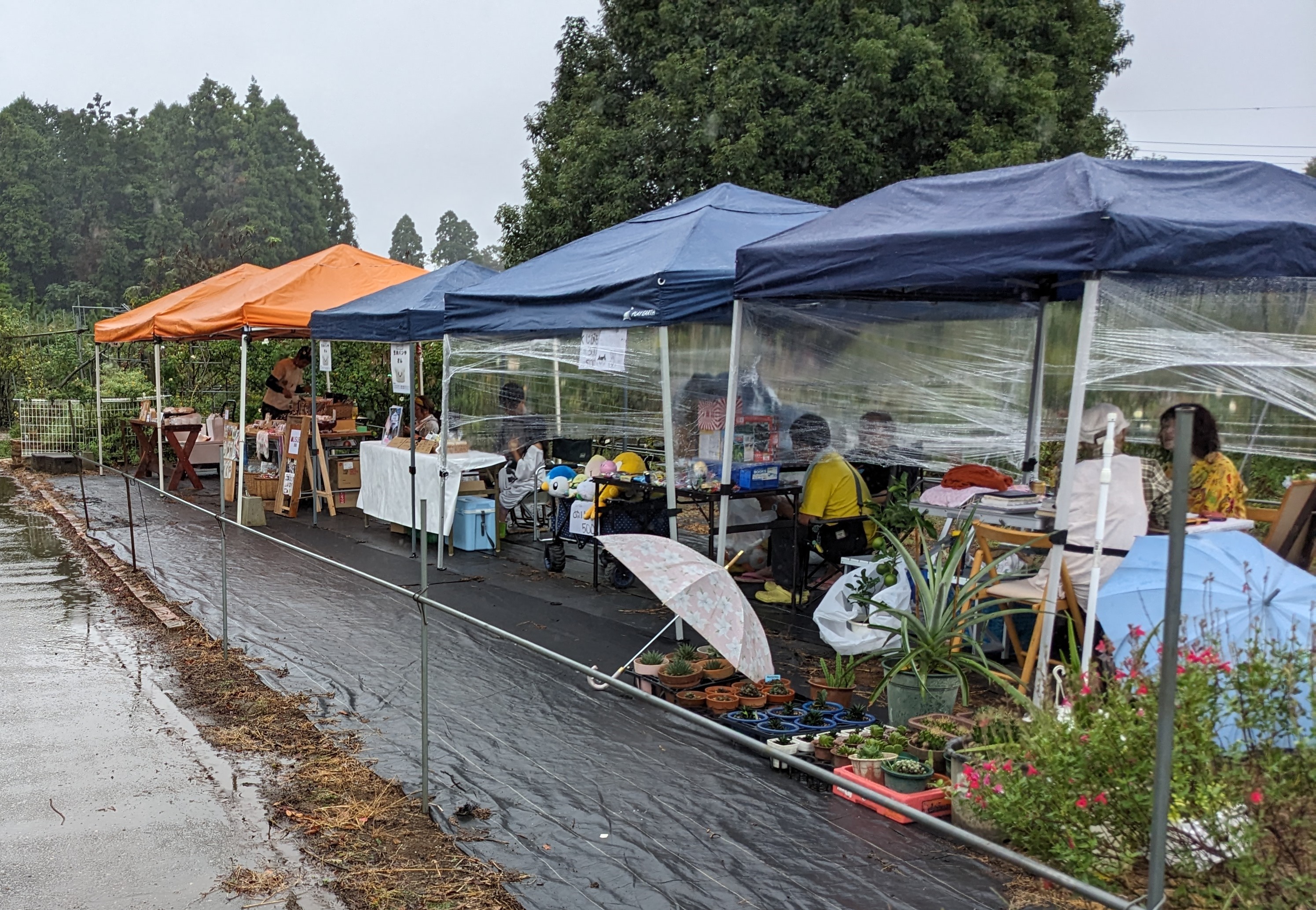 2023年9月23日　ローズガーデンTOROFarmのオクトーバーフェストに出店しました！