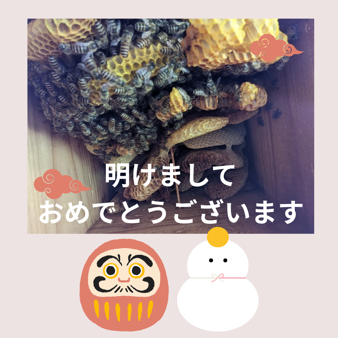 2024年1月1日明けましておめでとうございます