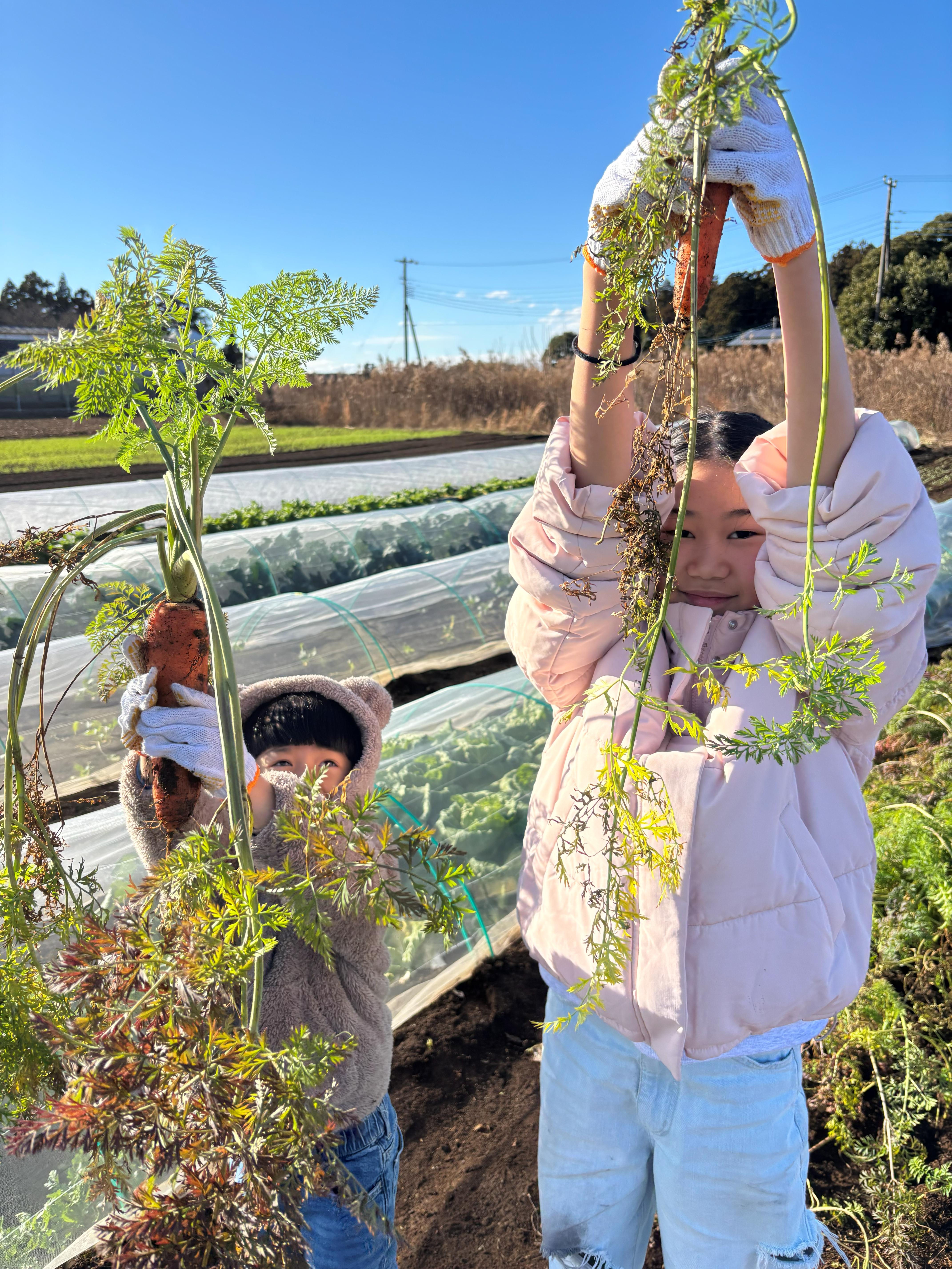 2025年12月 東京のスポーツクラブの合宿