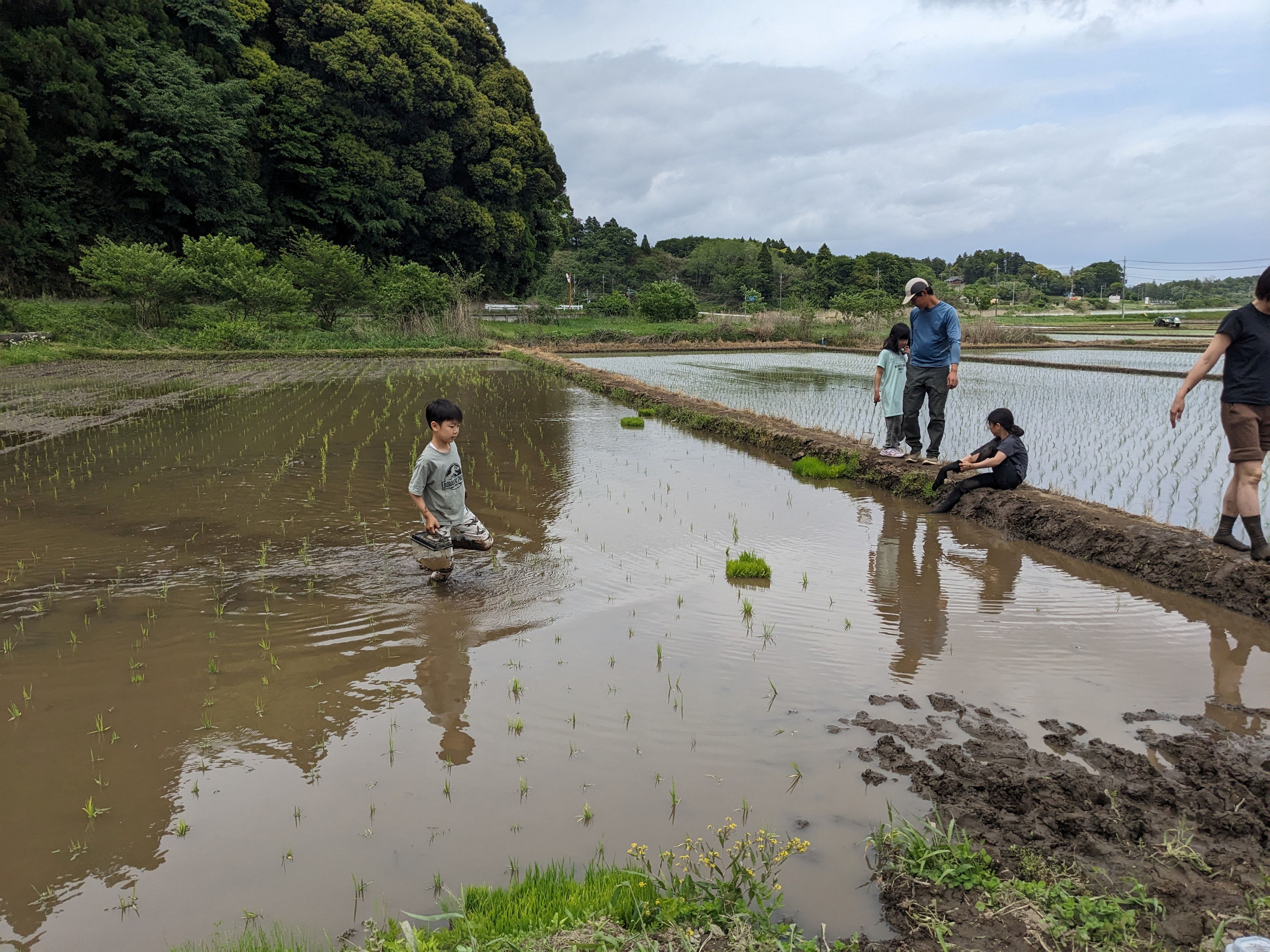 2026年5月　ちょこっと田植え体験＆生き物探しスタート！