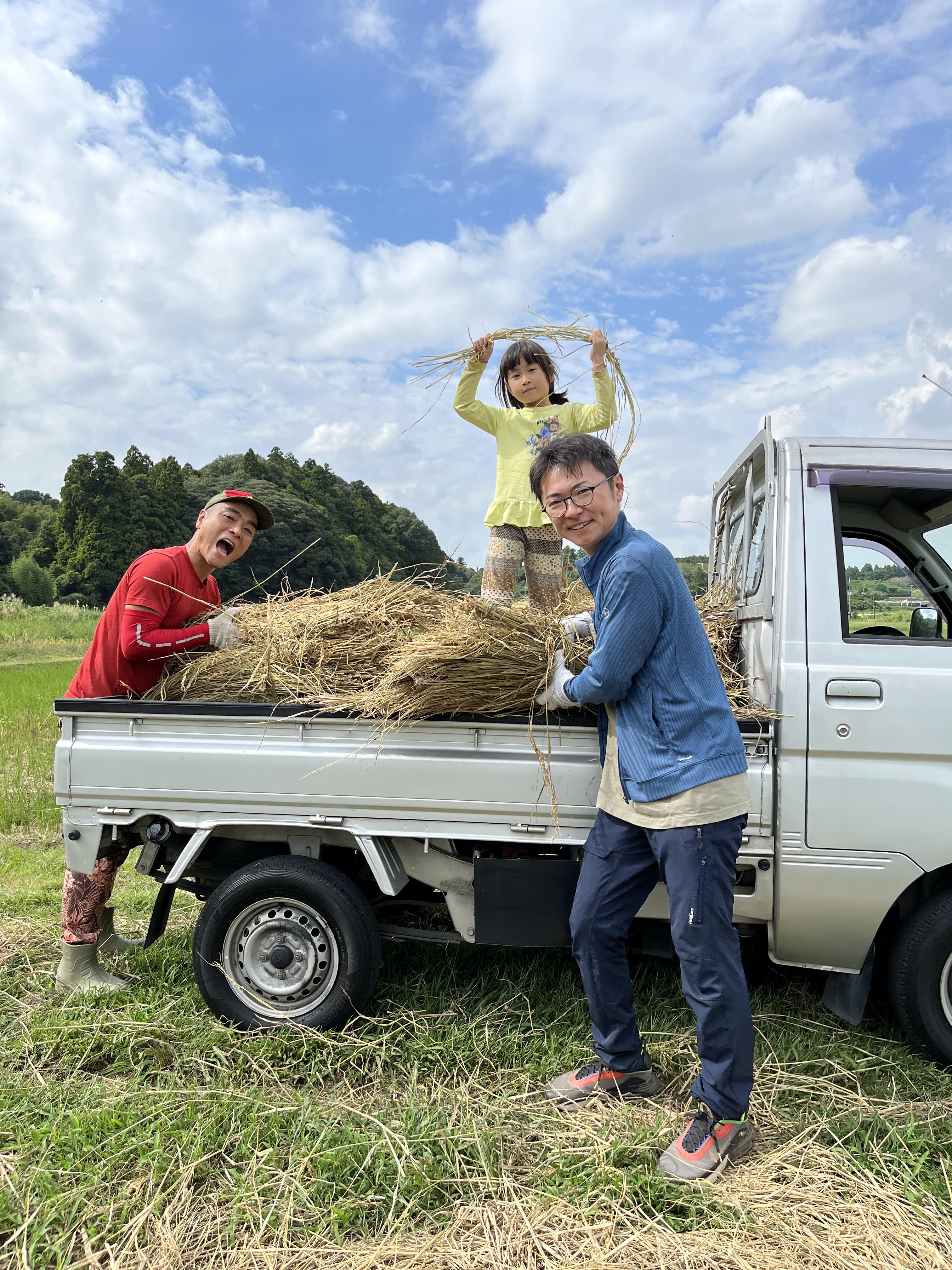 2023年10月5日　自然栽培の稲わらの販売を開始しました！