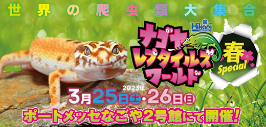 【EVENT】ナゴヤレプタイルズワールド2023春Special
