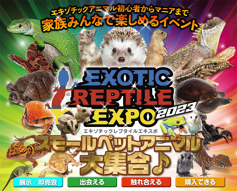 【EVENT】エキゾチックレプタイルエキスポ東京
