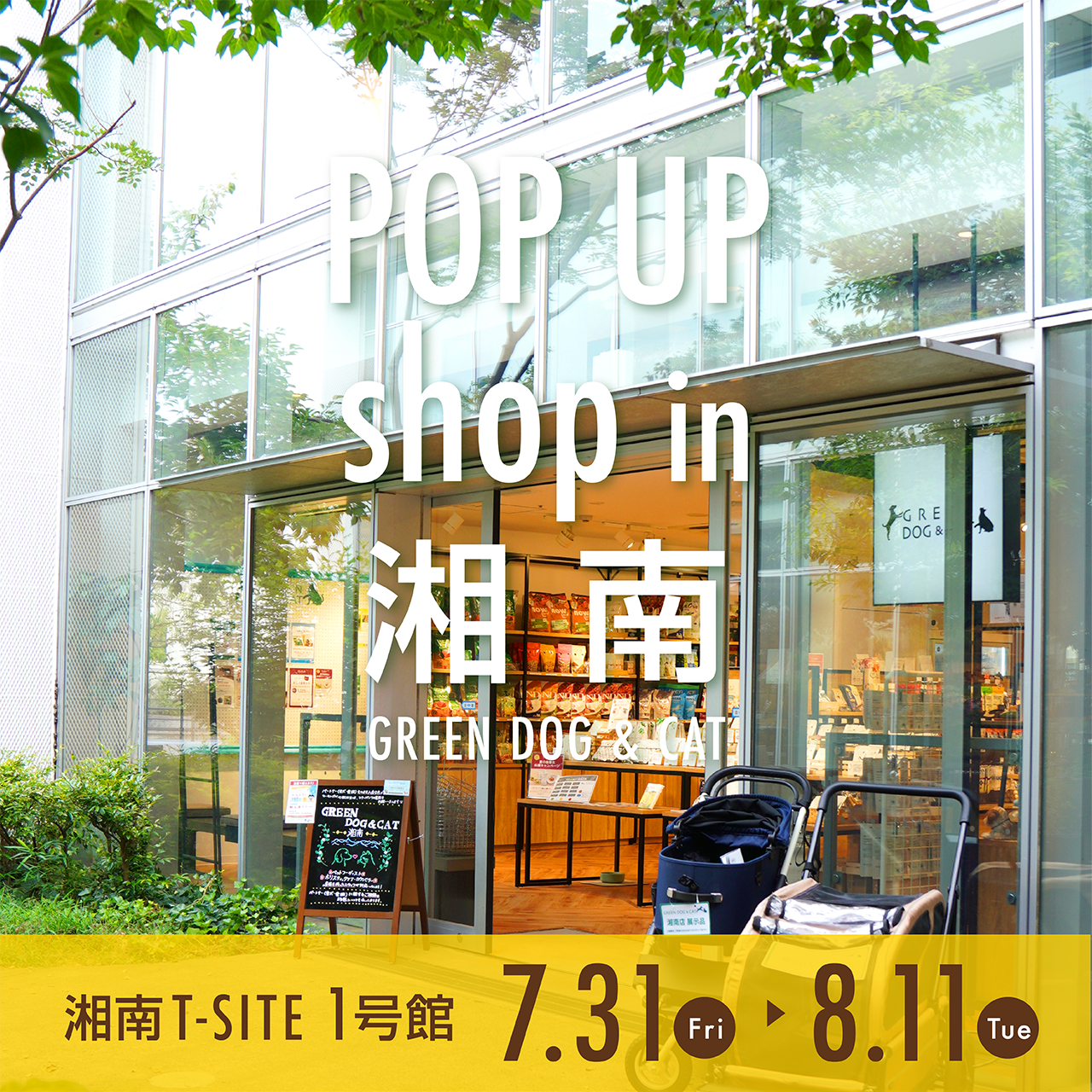 【7/31-8/11】湘南T-siteにてPop Up Store出店🏕️