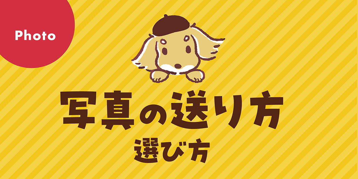 【オーダーあとの】お写真の送り方ご紹介!