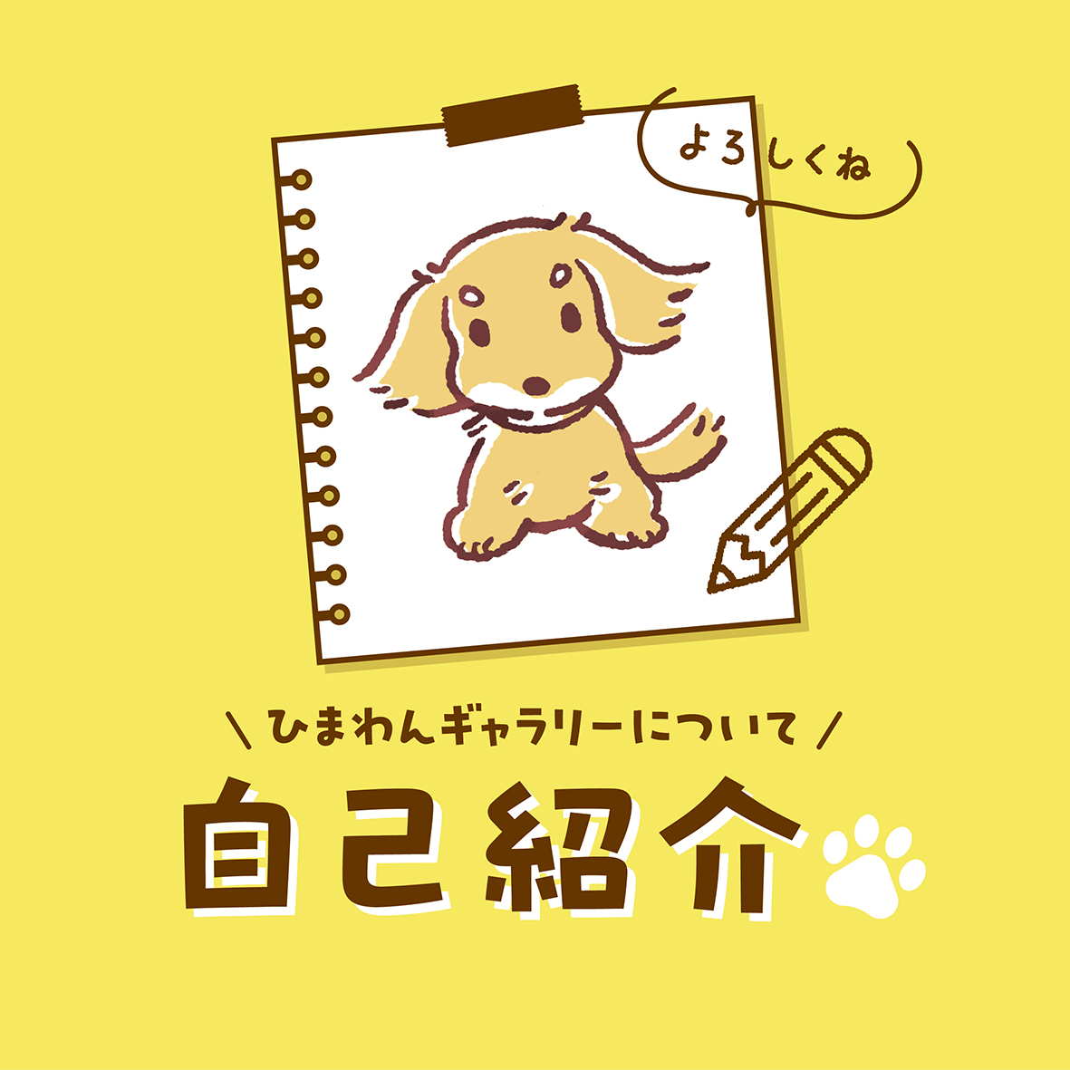ひまわんスタッフのご紹介！