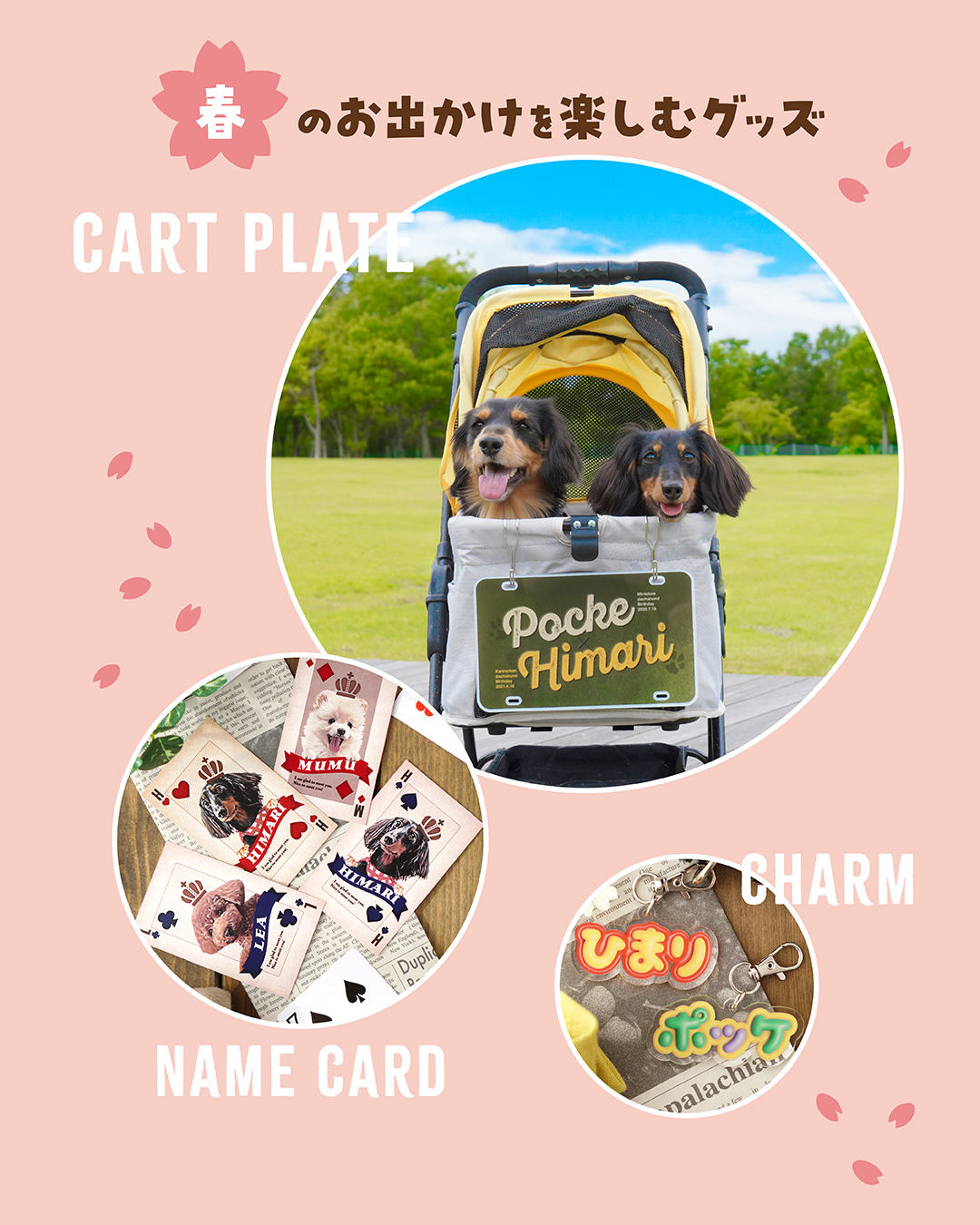 春のおでかけを楽しむグッズご紹介🌸