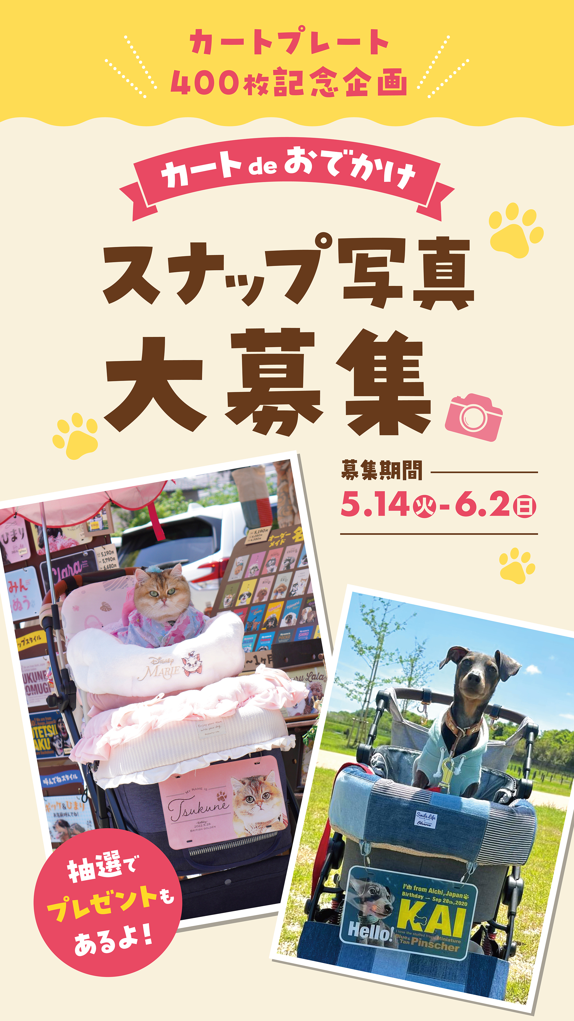 カートプレート | おでかけスナップ写真大募集！