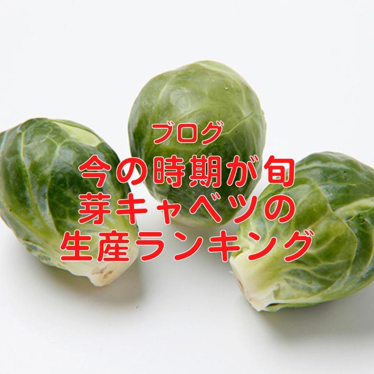 キャベツを小さくしたような見た目の芽キャベツをご存知でしょうか？