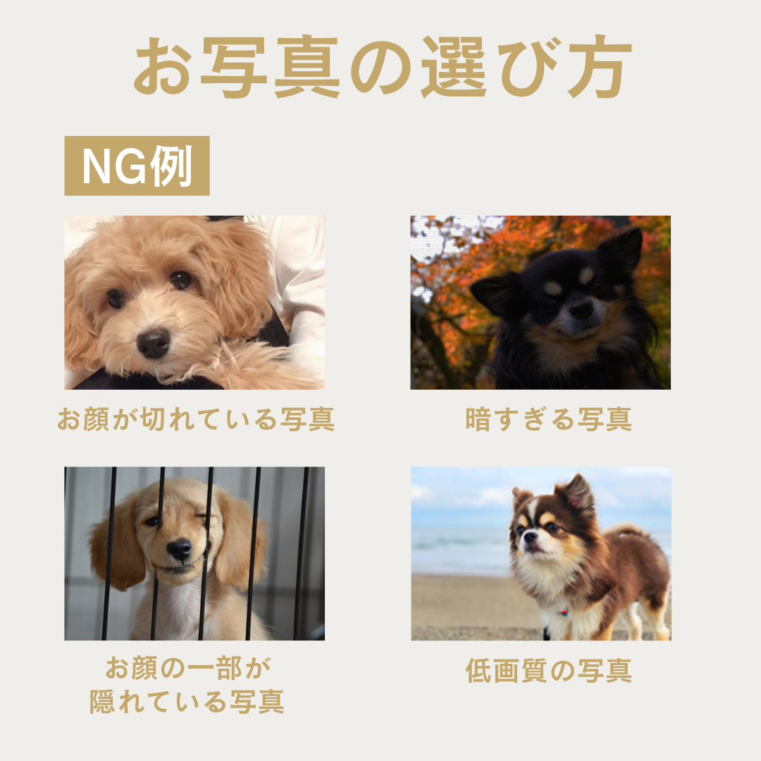 ウチノコカード（ペット名刺）作成にあたっての注意事項