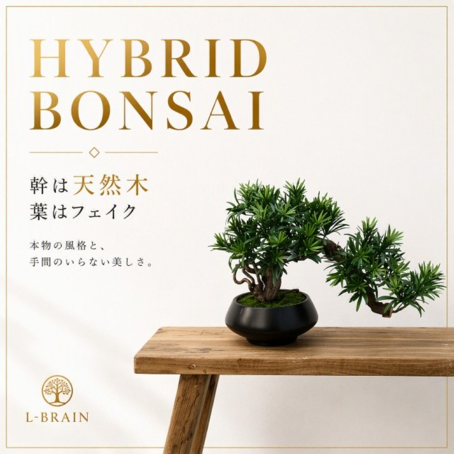 天然木×フェイク盆栽が5種類新登場！世界にひとつだけの盆栽を楽しむ新スタイル