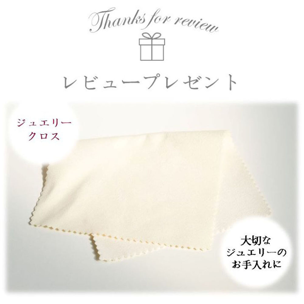 レビュープレゼント企画【クリーニングクロスをプレゼント】