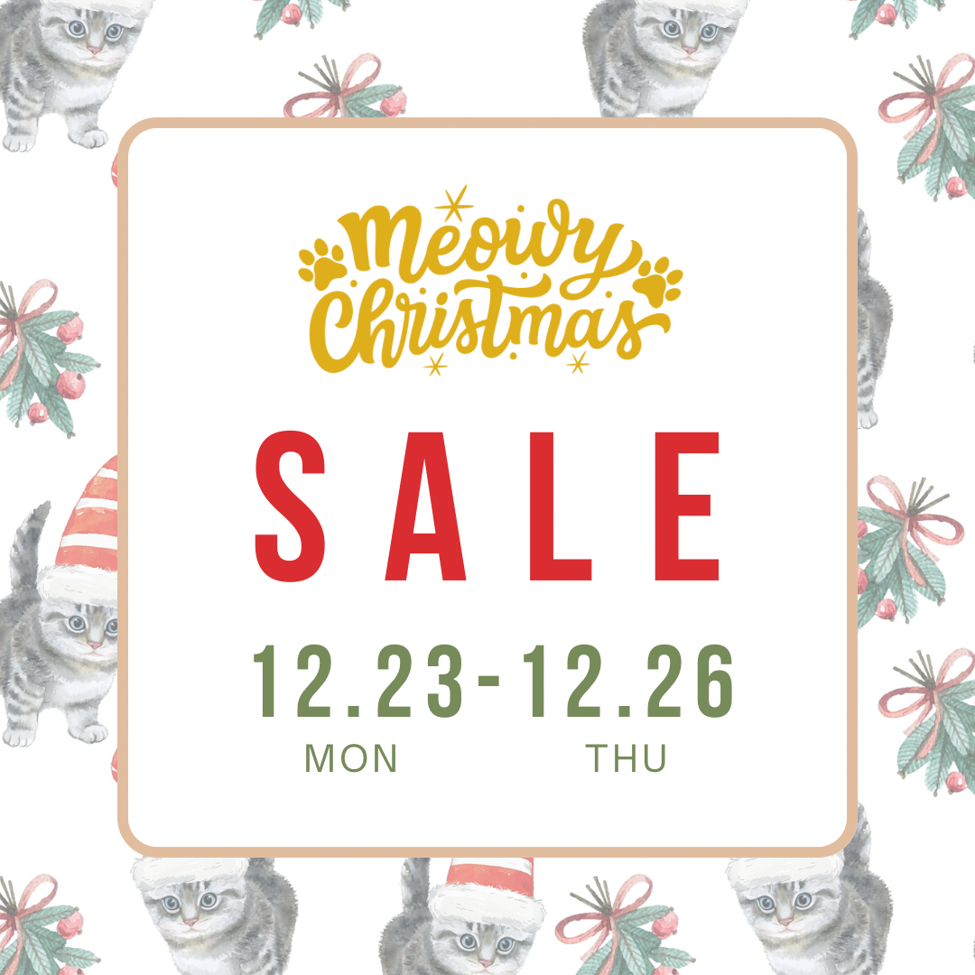 12月23日〜🎄クリスマス特別セール開催🎄