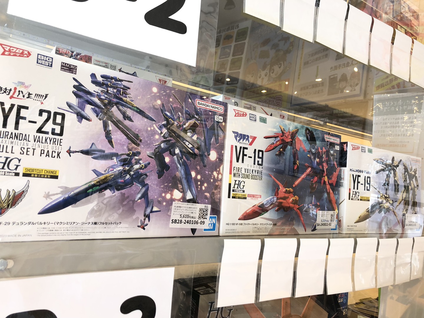 9月8日 本日もどらねこ堂は営業中！