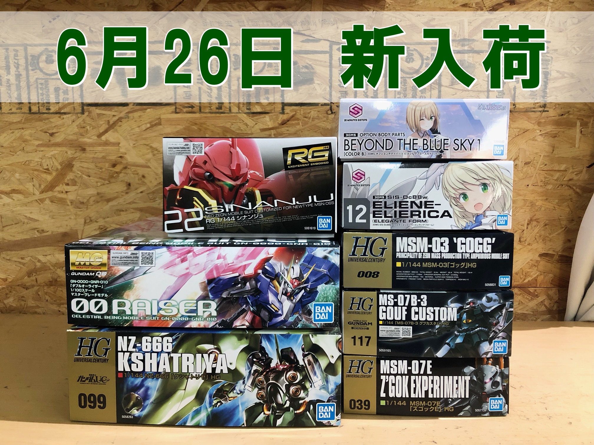 MG ダブルオーライザー、HGUC039 ズゴック E(ポケット) プラモデル等入荷いたしました