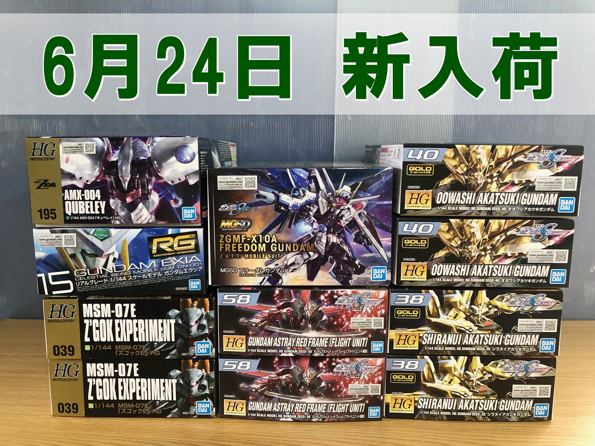 MGSD フリーダムガンダム、HG オオワシアカツキガンダム プラモデル等入荷いたしました