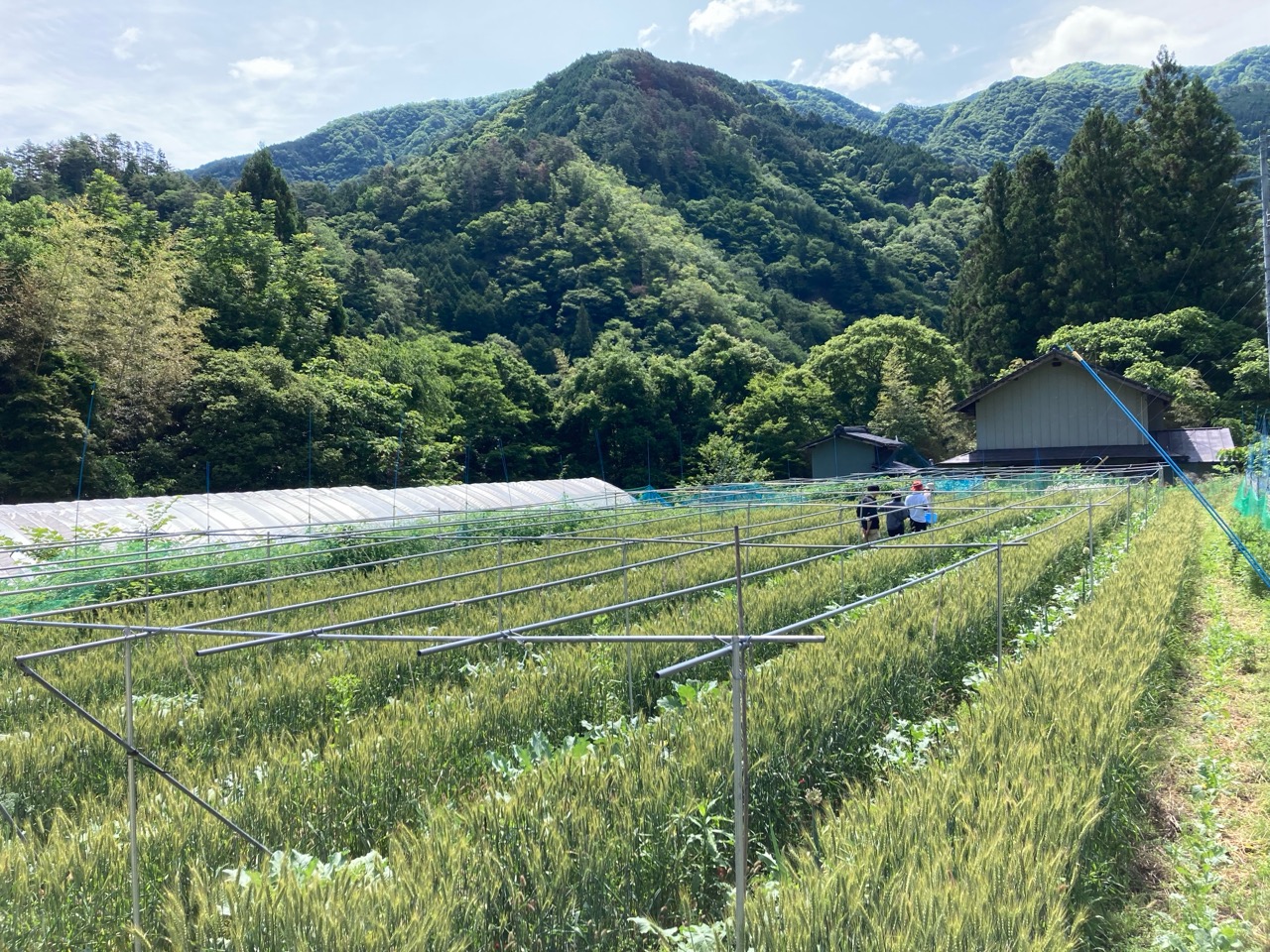 環境再生型農業。