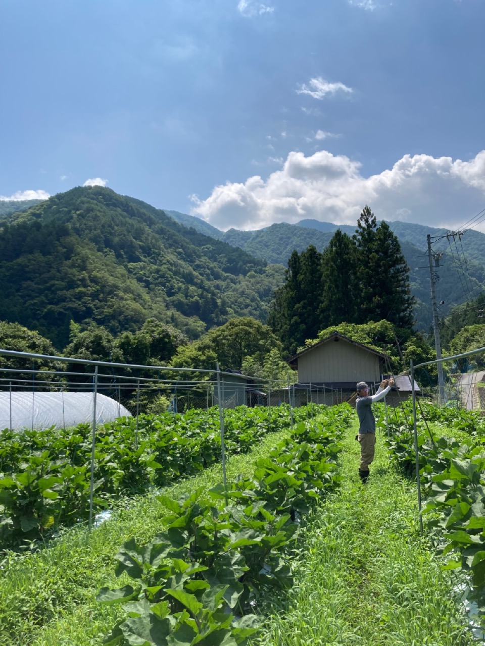 幸せな環境での農業。