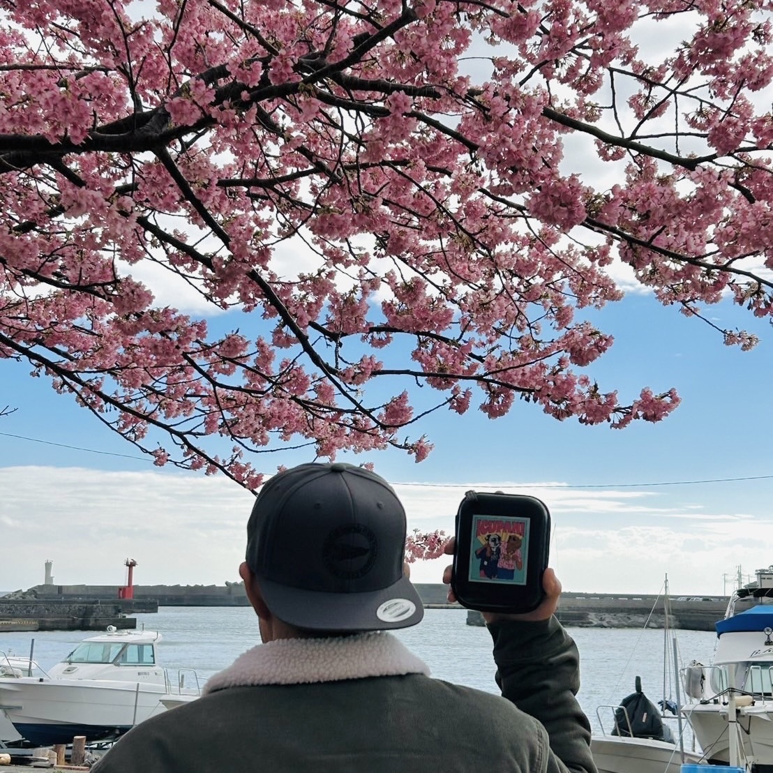 桜😨