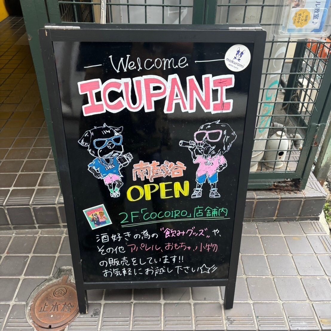 今月✨