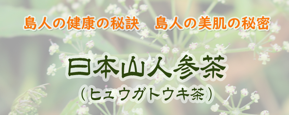 ◆◆ 商品  1 ◆◆　日本山人参茶　ヒュウガトウキ茶