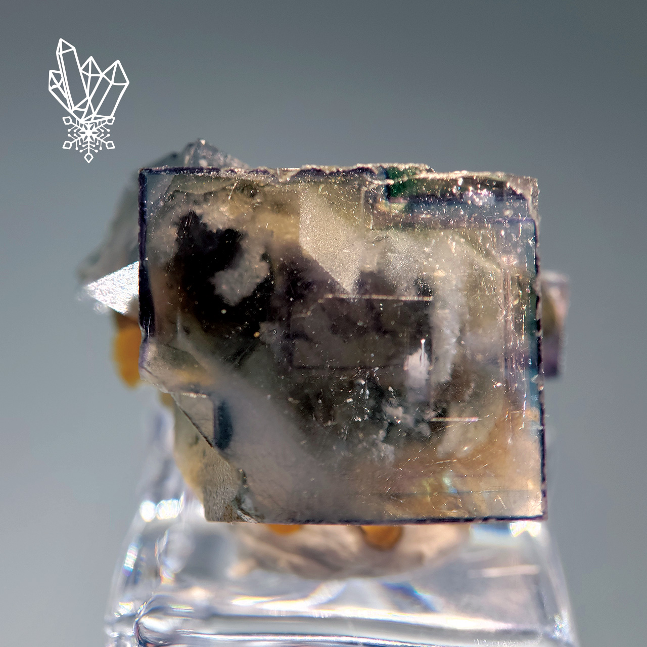 祝！ホームページ公開