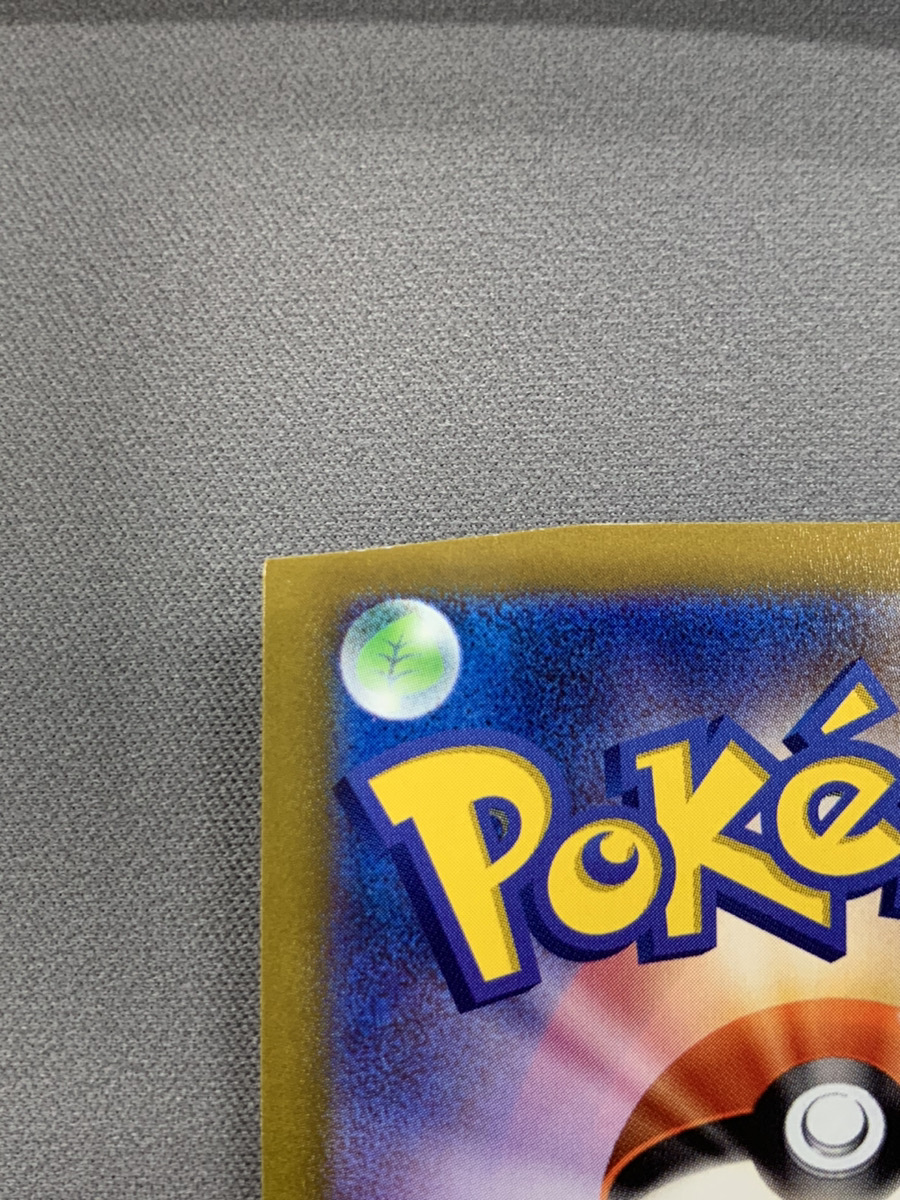 画像：状態D 切られたカードや破れ