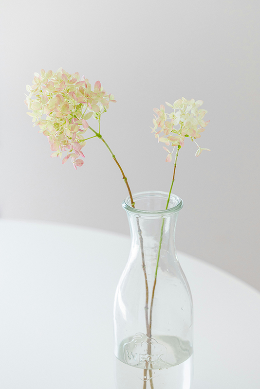 暑い季節の草花ぐらし
