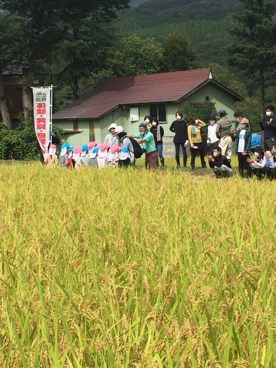 地元保育園児の収穫体験