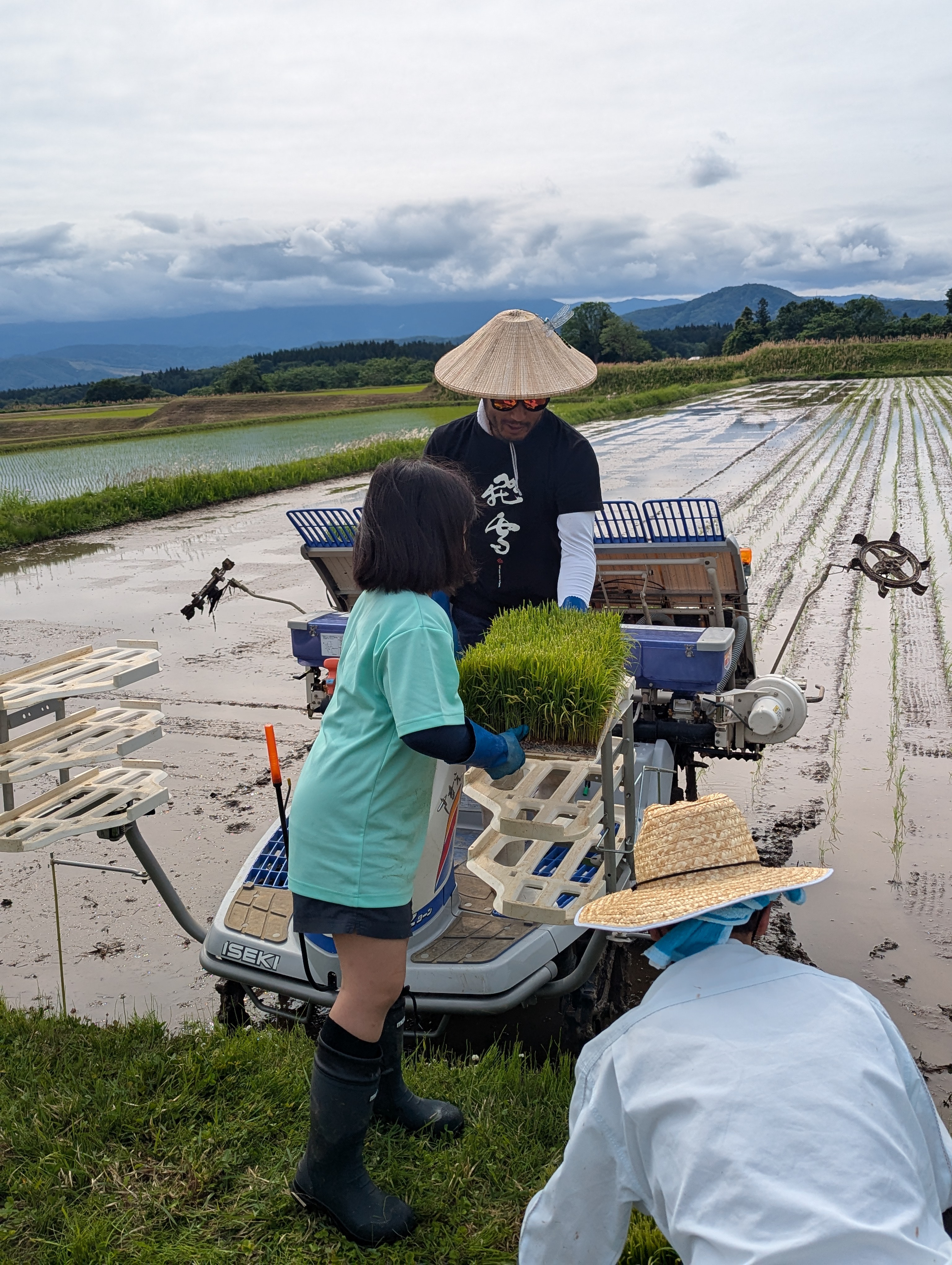 【田植えが無事終了しました】～農家の春、家族でつなぐお米づくり～