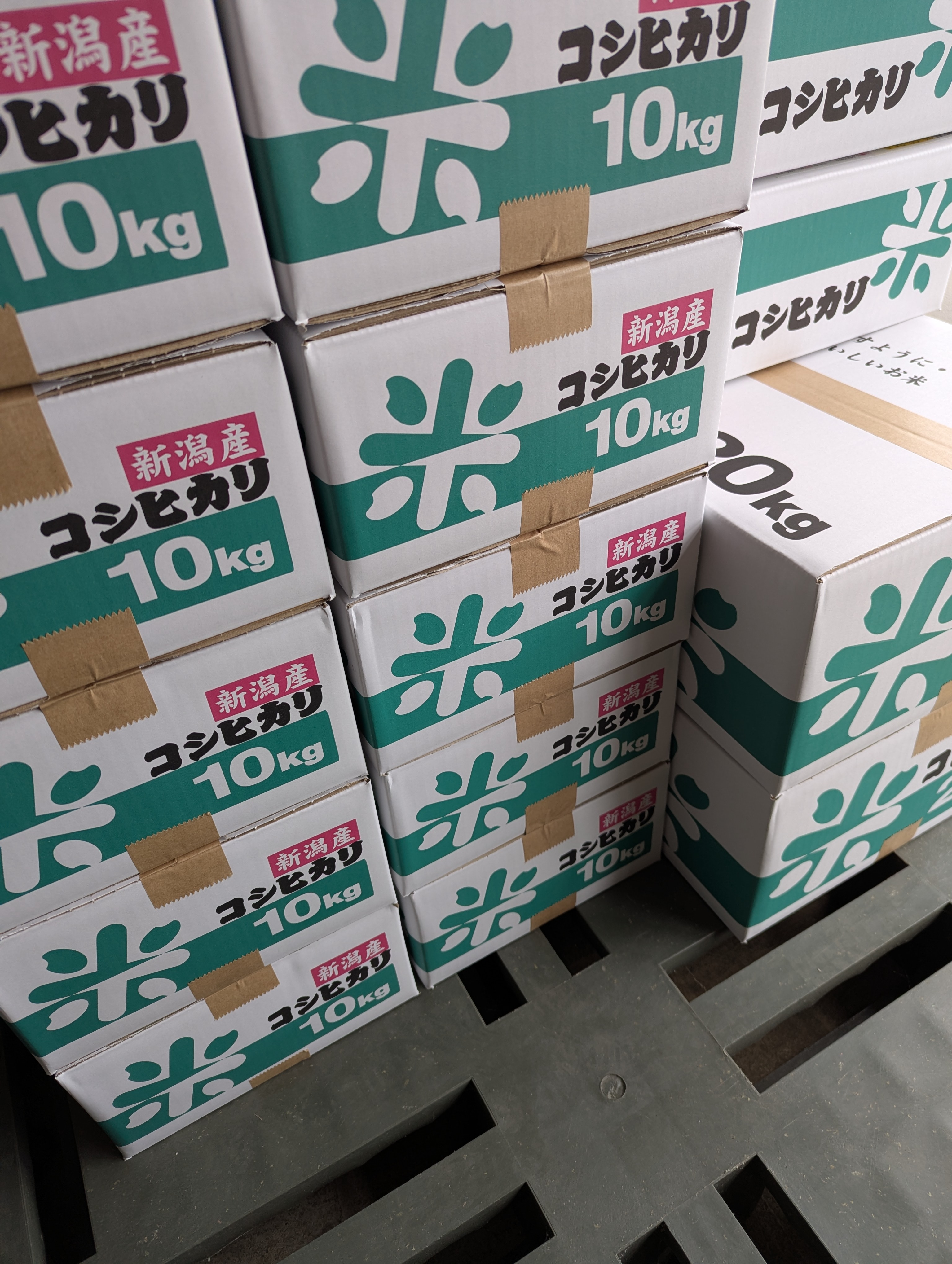 服部米蔵｜新潟県妙高産新米コシヒカリ 出荷中！