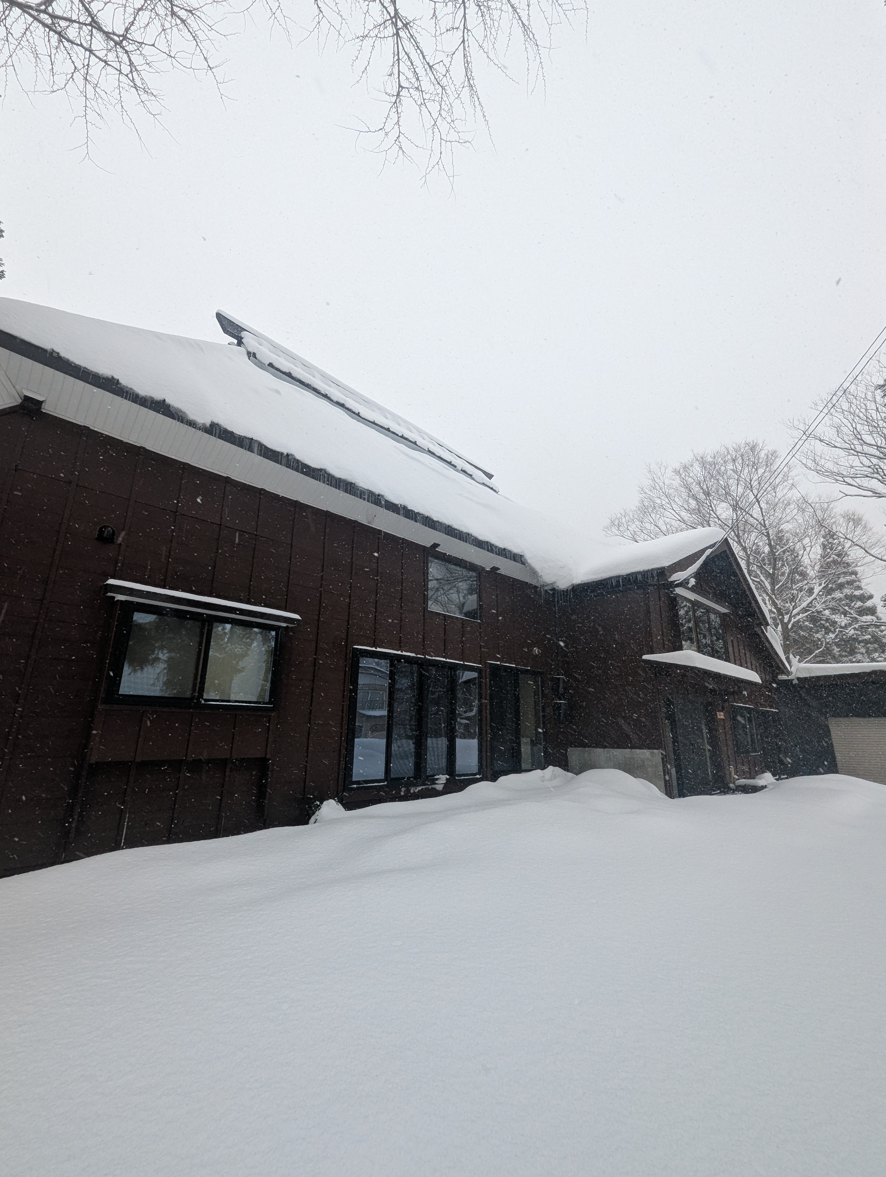 雪が少ない冬…と思ったら、今週は一気に大雪です