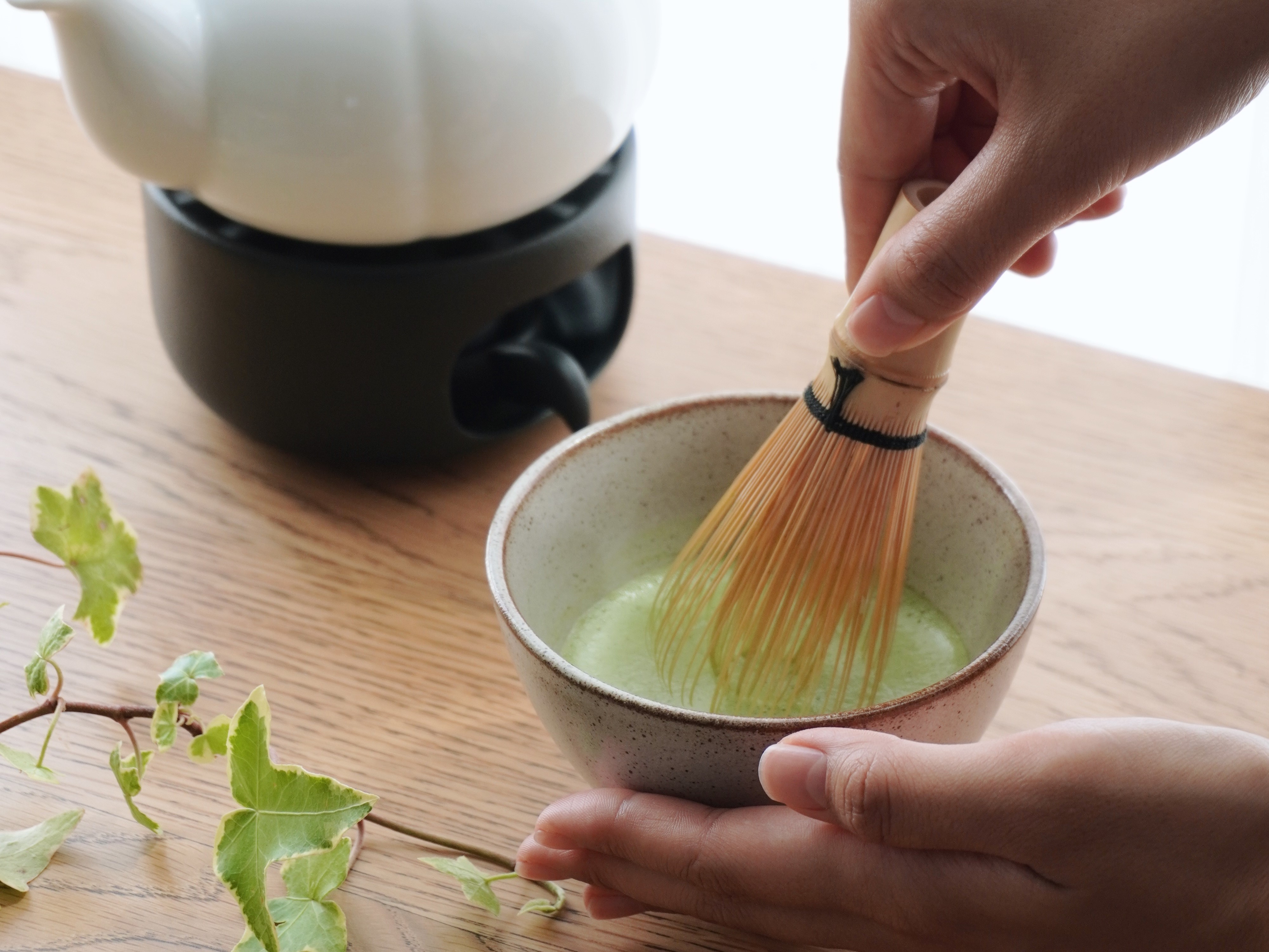 WEBショップ一時休業のお知らせ(2026年5月12日~)