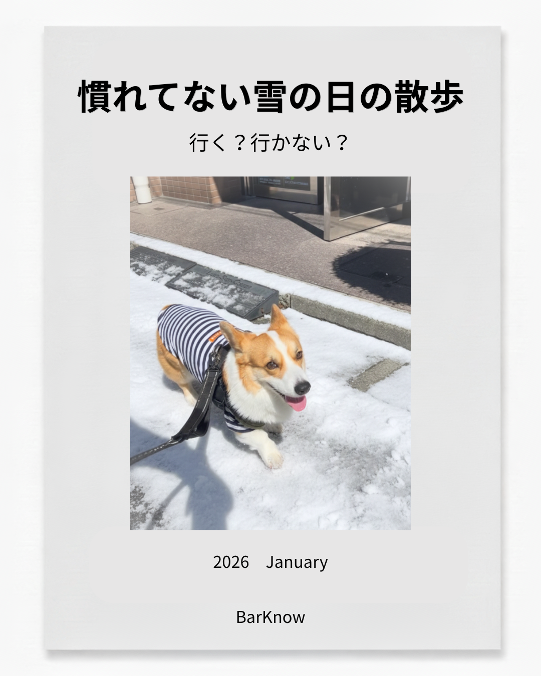 004. 雪の日の散歩、行く？行かない？