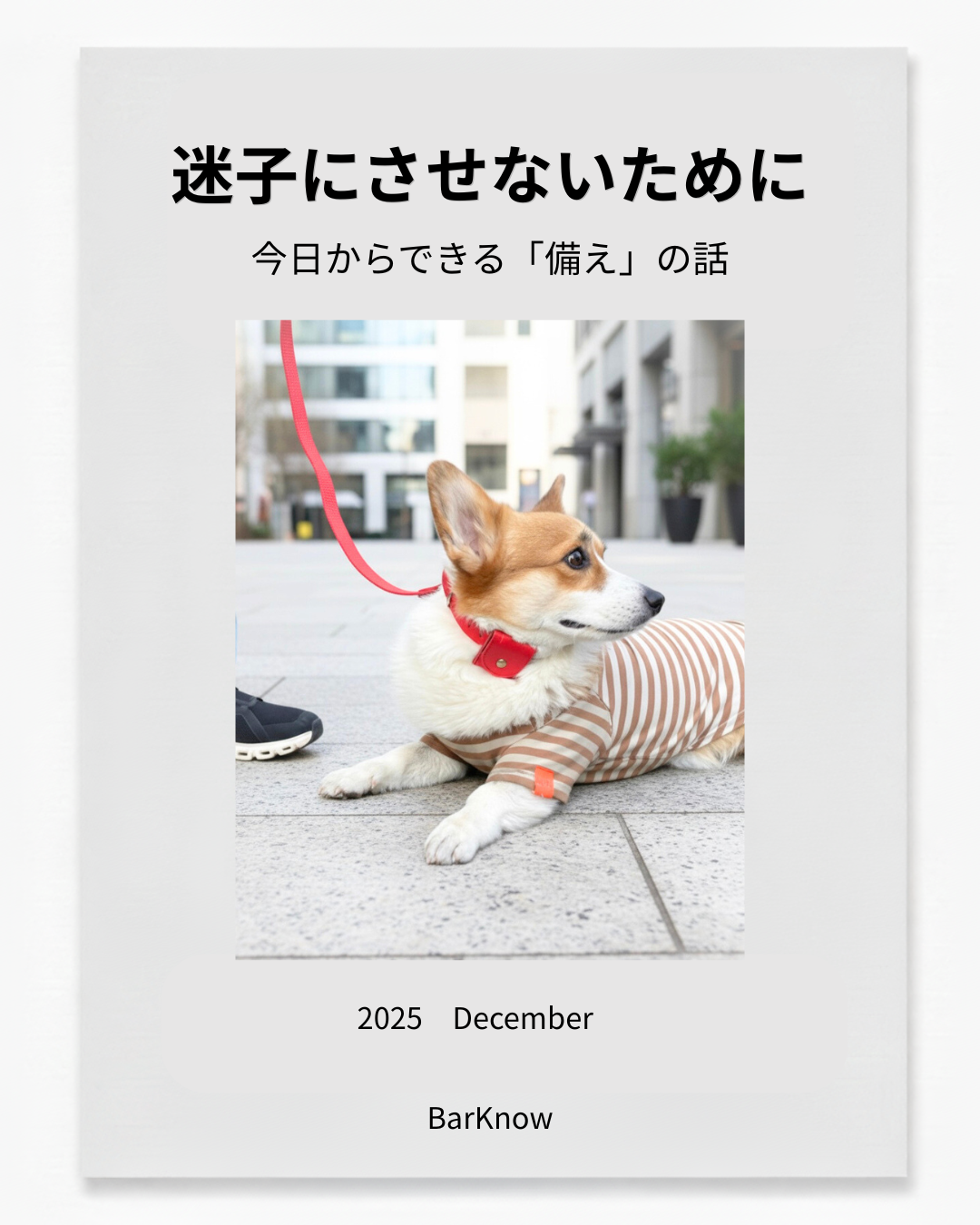 003. 迷子にさせないために。 今日からできる「備え」