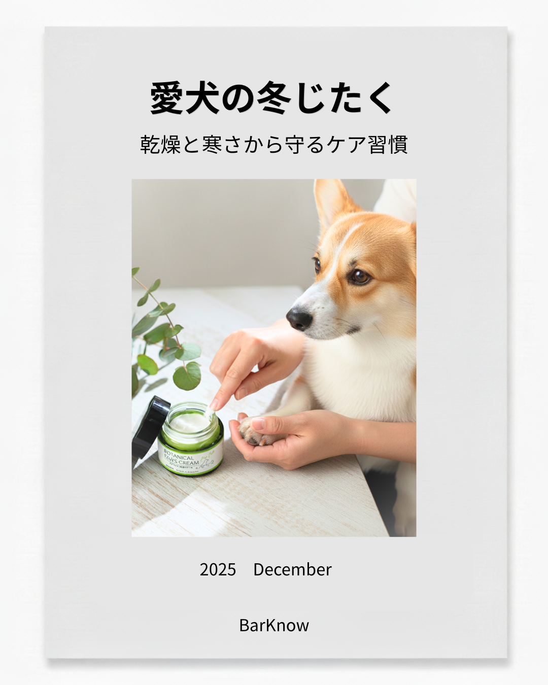 002.  乾燥と寒さから守る、愛犬の冬じたく
