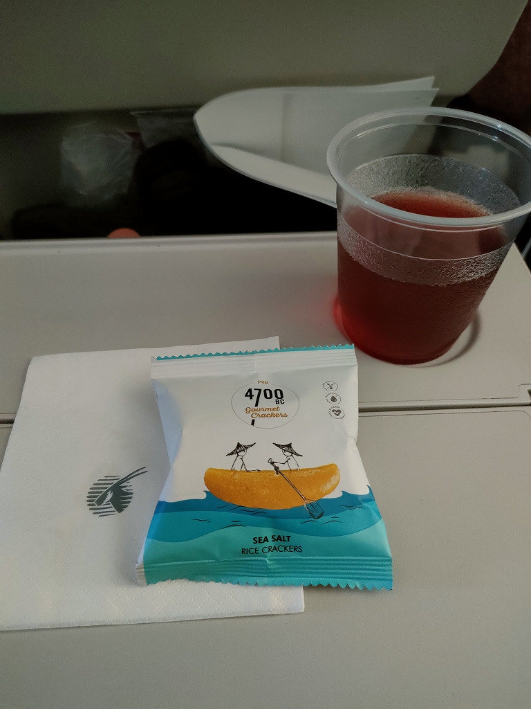 フランス→日本