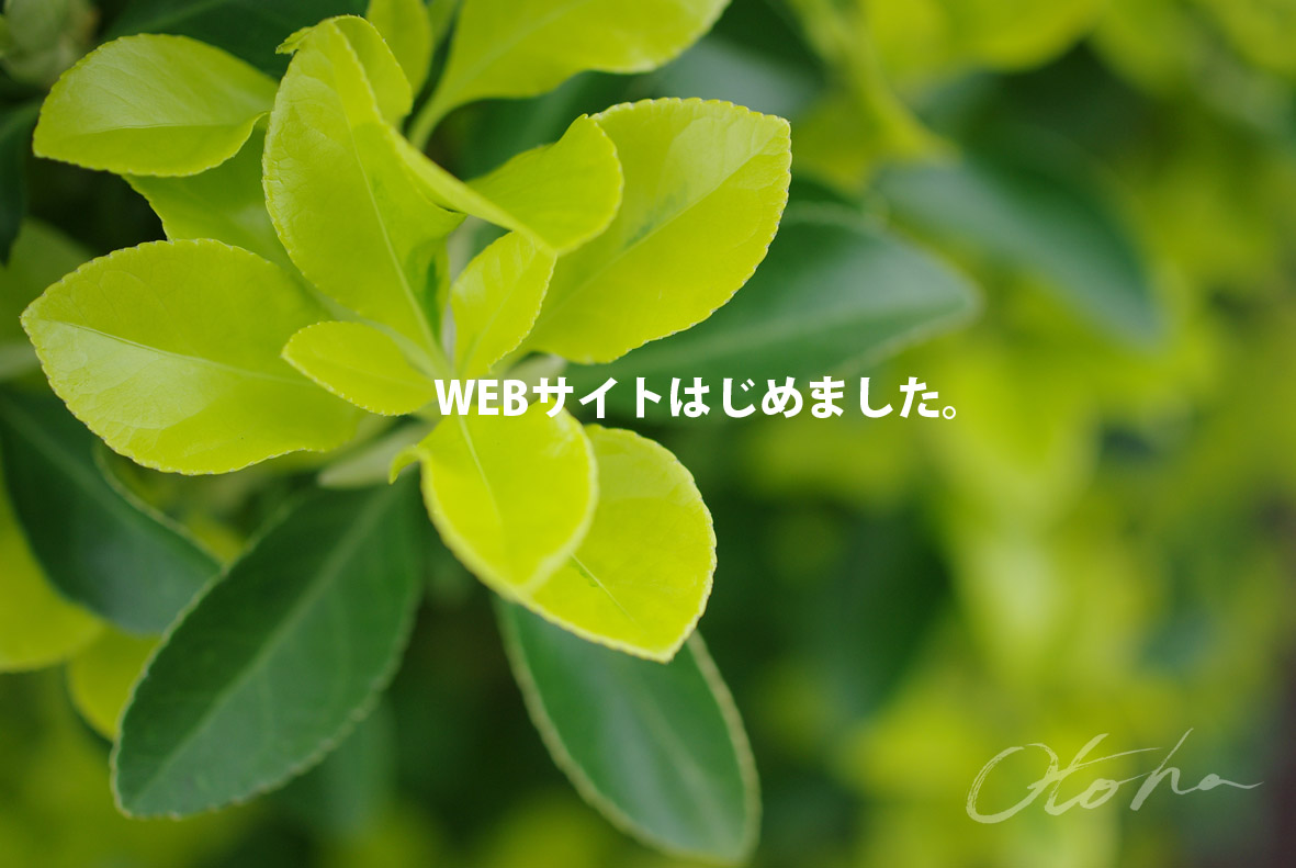 音羽さんのWEBサイト、はじまりました。
