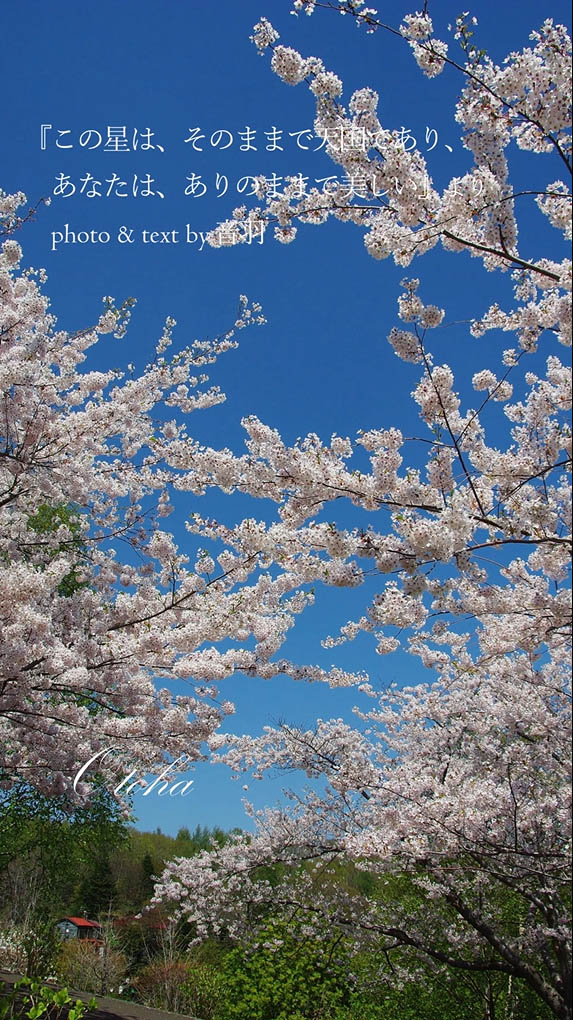 インスタグラムはじめました！