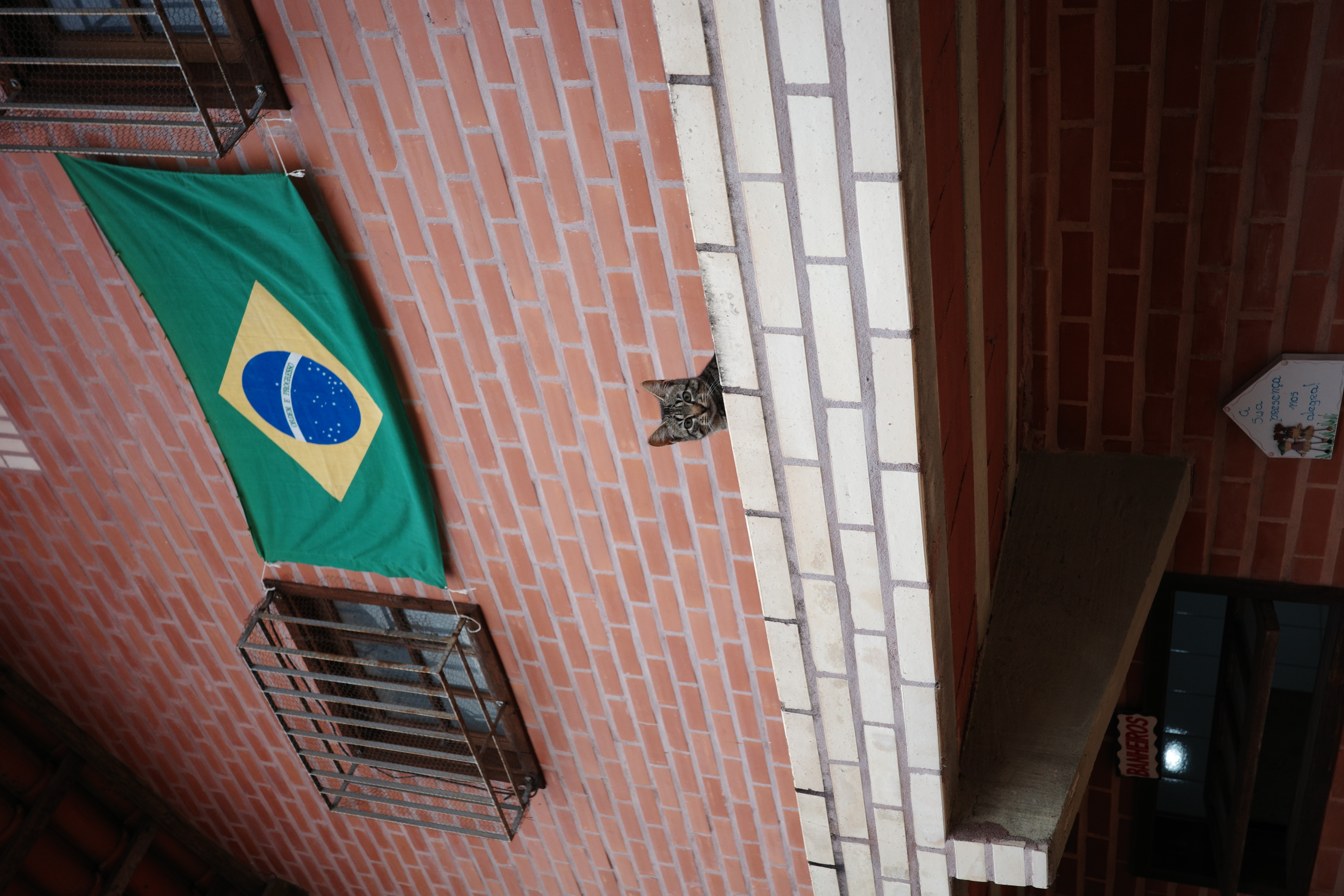 ブラジルにいってきました