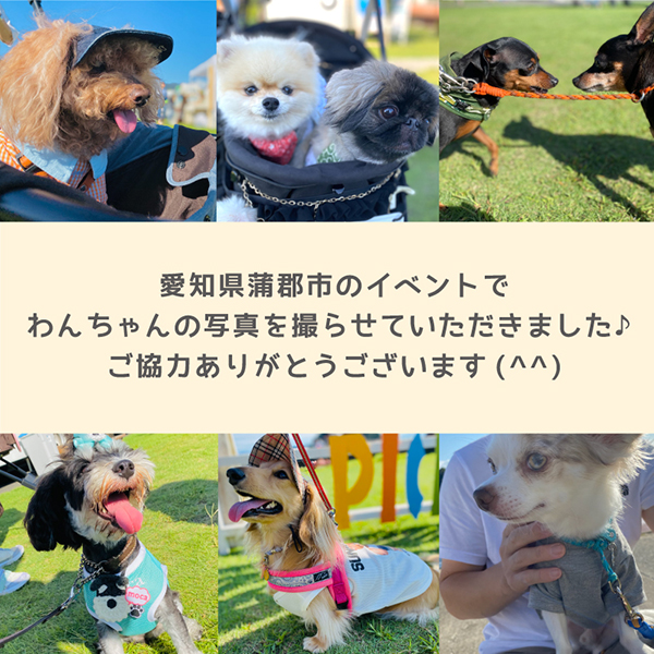 蒲郡市のイベントにて