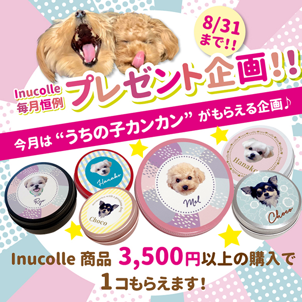 うちの子カンカンプレゼント！